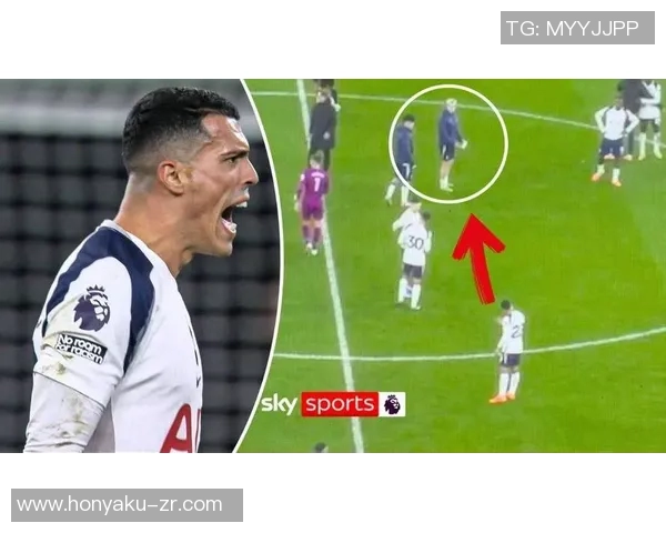 热刺球员评分全面曝光引发热议球迷对表现褒贬不一